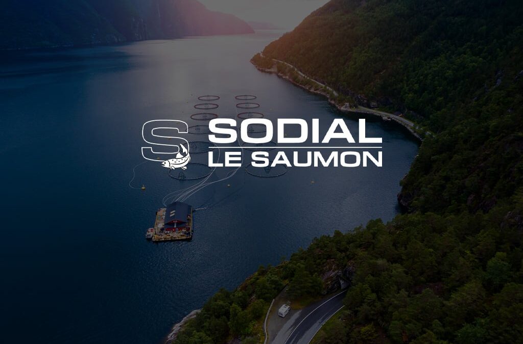 Saumon Fumé Norvège Bio Prétranché à la Main